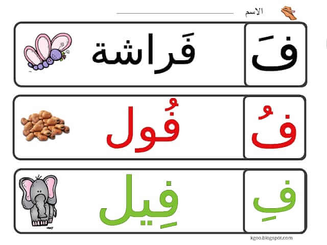 www.aljisser.com
