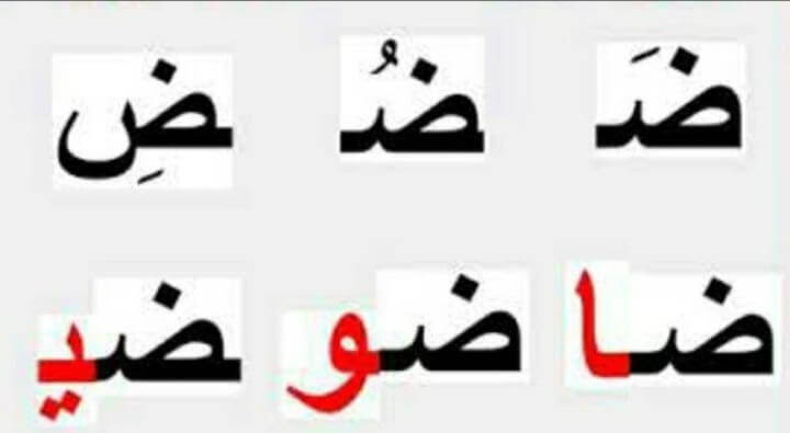 www.aljisser.com